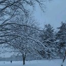 소금꽃어린이도서관 이미지