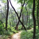 아리산