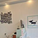 까까몽 | [천안아산강아지미용] 9년째 다니고 있는 강아지 미용실 까까몽 내돈내산 추천