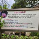 또오리 | 하남 부모님 식사 추천｜건강한 한 끼 가능한 또오리 후기