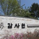 근무태만, 비서 공금횡령...감사원, 보고서에 ‘전현희 비위’ 명기한다~ 추미애 아들 유권해석 개입 등도... 이르면 9일 공개 이미지