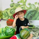 놀퍼데이- 슬기로운 여름생활 🍉 이미지
