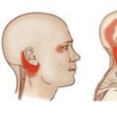 메이드바디 필라테스 이미지