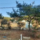 고란윗마을 이미지