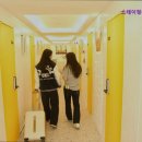 청춘원룸텔 이미지