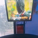 디딤휘트니스 이미지