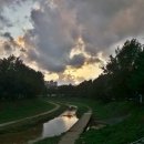 본가 건하은칼국수 이미지