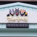 켄과콩나무 이미지