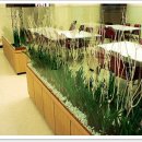 농협식당 이미지