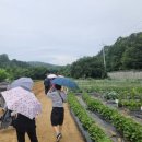 요셉농장2 이미지