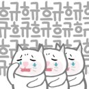 아델라인니트 네이버블로그