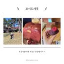 청주대형베이커리카페 포이드캐롯｜홍국쌀식빵｜가족여행 힐링｜웨이팅 주차 후기