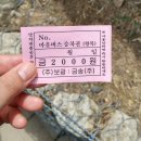 맨하탄모텔 | 남해 뚜벅이 여행 2박3일 - 2일차