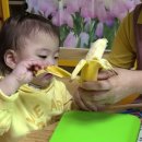 영아푸드