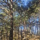 11/15(토) 해파랑길 49,48코스 南進 이미지