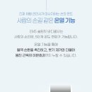 바디핏 EMS 이미지