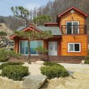 건강백세(100%) 이미지