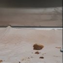 기흥동물병원 이미지