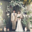 비니비치 이미지