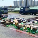 낙동남로 이미지