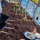 카페 슈슈 이미지