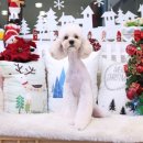 아콩하우스 이미지