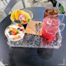 엑스머트 이미지