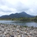 쏘갈매운탕 | 쏘갈이 낚시 후기