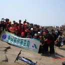 충남등산연합산악회 비슬산 진달래 축제와 함께 이미지