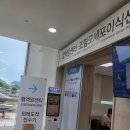 새길병원 | &#39;따동&#39;과 함께한 서울대병원 동행 후기