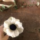 세느파크 이미지