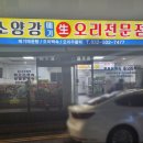 소양강메기생오리