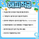 부자금방