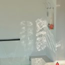 스테이 띠앗 이미지