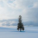 대한렌트카 | 삿포로 비에이 렌트카 삿포로 여행 코스 눈길 운전 후기