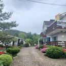 냇가에앉아서 이미지