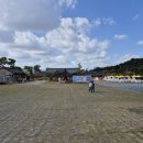 왕인박사마을 | 2025 한옥문화 비엔날레&amp;목재누리 페스티벌 후기 영암가볼만한곳 추천