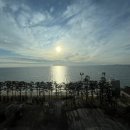 하운드호텔 대천해수욕장 이미지