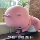 제주기억 이미지