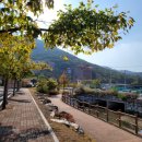 미스터홈즈부동산중개창원마산회원센터 이미지