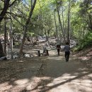 26년 6/27(토) Switzer Picnic Area to Watershed 이미지