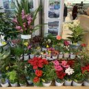 오창농협 하나로마트 이미지