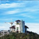 대인카프라자 이미지