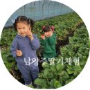 드림2농장 네이버블로그