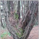 학계경로당 이미지