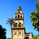 오렌지정원 이미지