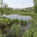 과림 낚시터 이미지