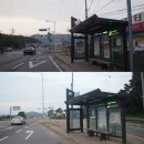 조강철책길 이미지