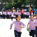 관저초등학교 이미지