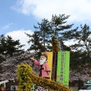삼호읍청소년문화의집 | [ 영암여행 ] 벚꽃이 있어 더 아름다운 2013영암왕인문화축제와 영암여행